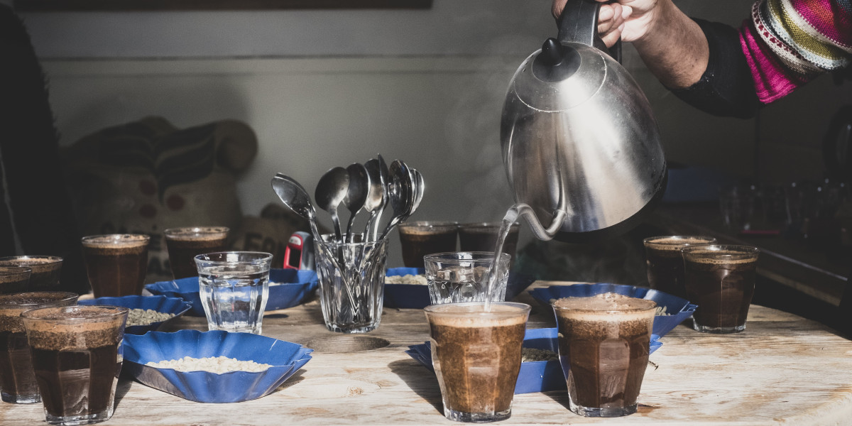 How Much Can Bosch Tassimo Models Experts Make?