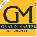 grandmaster global