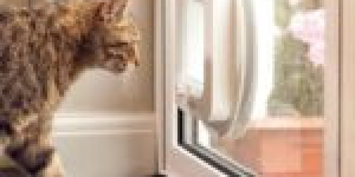 How Cat Flap Installation Price Became The Hottest Trend Of 2024